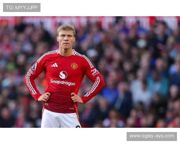 霍伊别尔进攻贡献突出，助球队攻守平衡