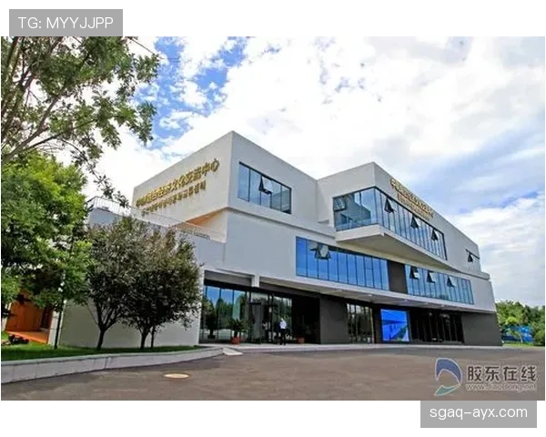 马斯喀特未来产业布局前瞻:创新驱动下的区域经济新蓝图 马斯喀特未来产业布局前瞻:创新驱动下的区域经济新蓝图