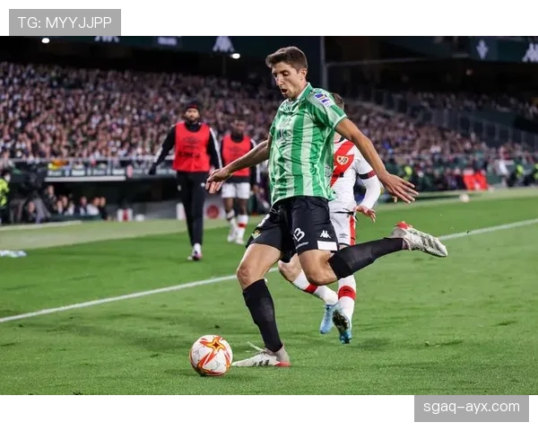 皇家贝蒂斯制定长期发展战略 专注青训体系与体育城项目推进