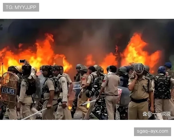 马里安全部队击毙15名恐怖分子 军事行动持续推进