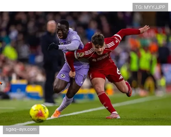 布莱顿主帅坚持精细战术与团队合作，率队取得稳健卓越战绩