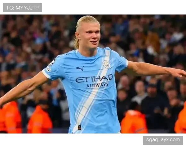 德甲赛季进球狂潮：哈兰德火力全开，金靴之争悬念迭起